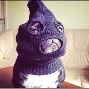 Meet your Posher, Brandon